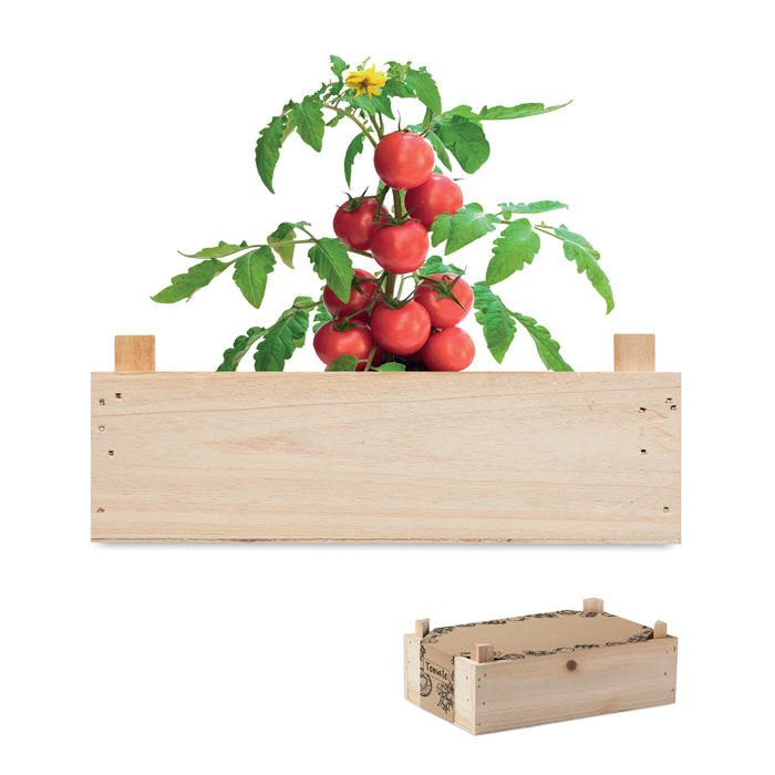 Tomato growing kit